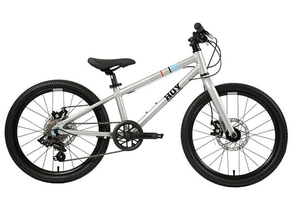 Hoy Pentland 20" Silver