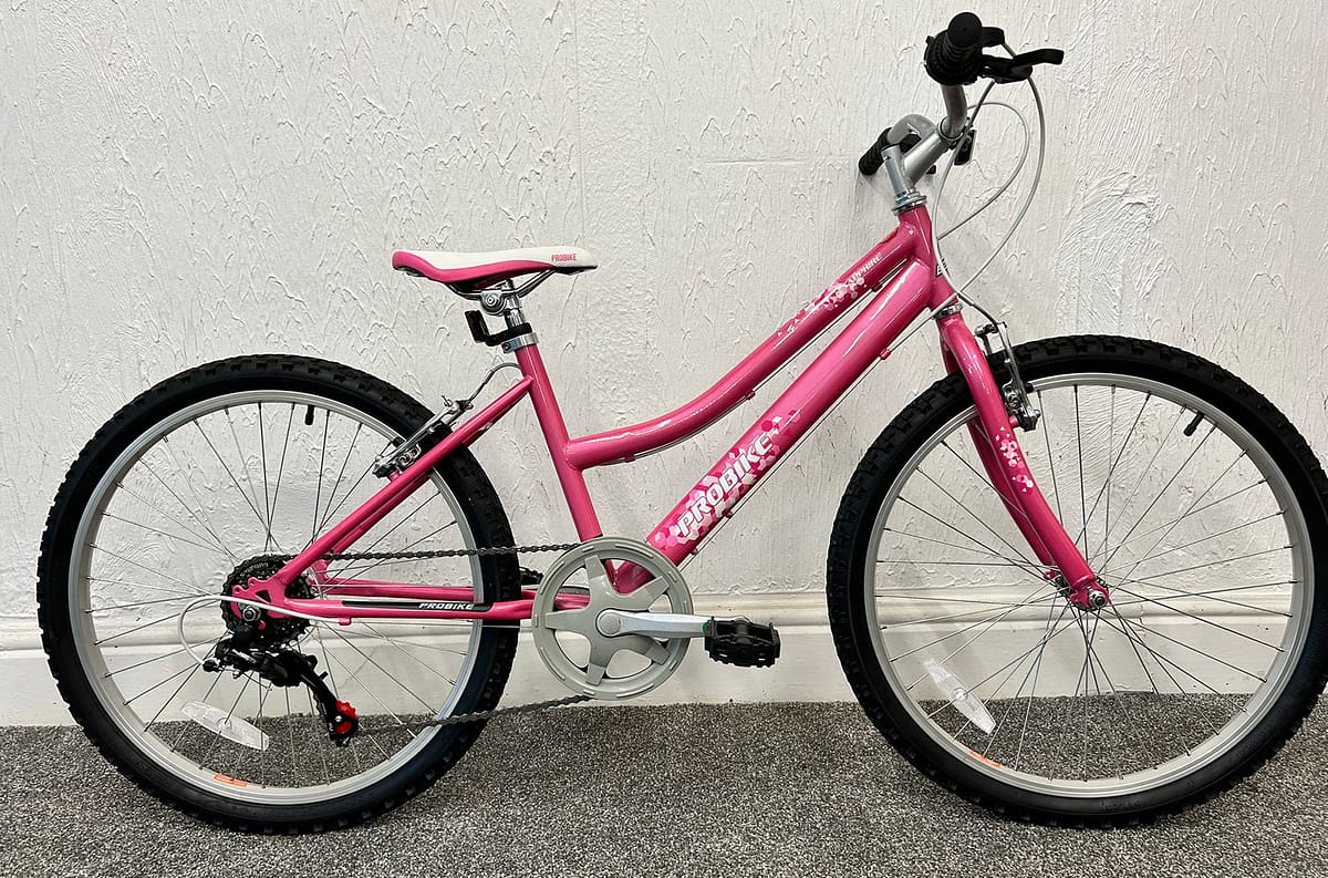Probike Sapphire Pink 24"
